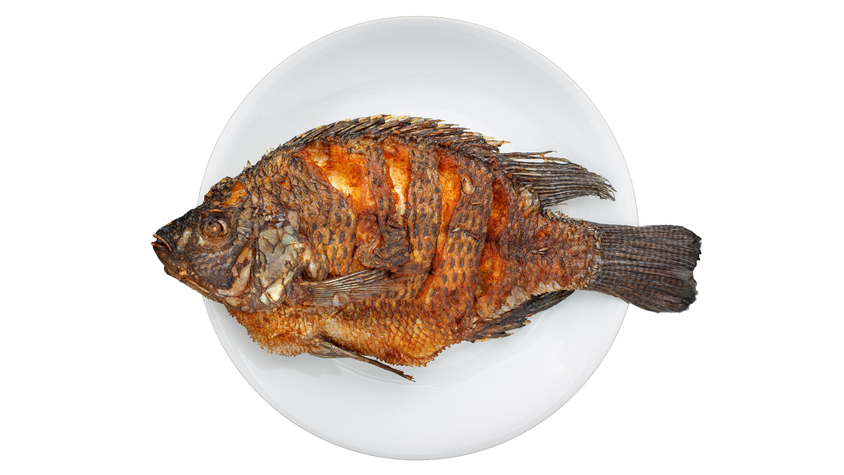 Fried fish on a plate on a white background